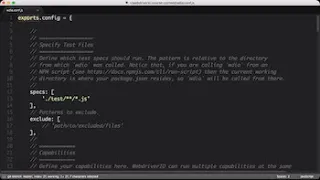 Lesson 2b - Reviewing the wdio conf js file