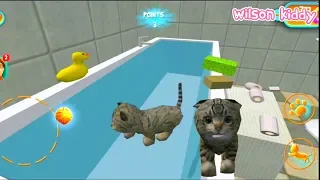 Download Game Kucing Lucu | Cat Simulator | Kucing Lucu MP3