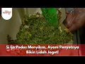 Download Lagu Si Ijo Pedas Menyiksa, Ayam Penyetnya Bikin Lidah Joget! - BIKIN LAPER (30/6/25) P1