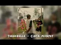 Download Lagu Teenebelle - Cinta Monyet (Speed up)