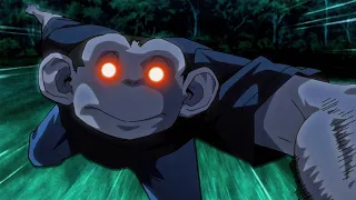 don t let the monkey fool you this anime is insane