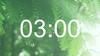 3 Min Timer Forest Bird Nature Sounds for Classroom Study Sleep Homework