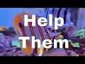 Download Lagu Stop Killing Copperband Butterflyfish NOW! (Chelmon rostratus)
