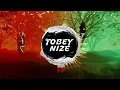 GReeeN - Panama (TOBEY NIZE x L.I.F_ REMIX) [BigroomTechno]