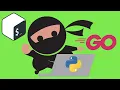 The Best Coding Languages for Hackers - On Python Golang Bash