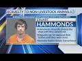 Detailed report of Bowie County man s arrest after animal carcasses found at home