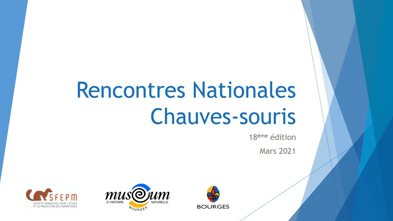 Charlotte Roemer "Biologie des espèces & risques de collisions éoliennes et routières"