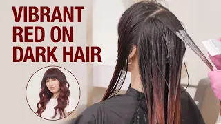How to Do Wet Balayage Technique Vibrant Red on Dark Hair Tutorial Kenra Color