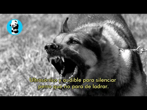 Download MP3 SONIDO DE BAJA FRECUENCIA para callar perros...ultrasonico para que no ladre ¡5 HORAS SEGUIDAS!