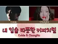 【日本語訳】내 입술 따뜻한 커피처럼 - チョンハ&Colde（原曲：S♯arp/샵/シャープ）