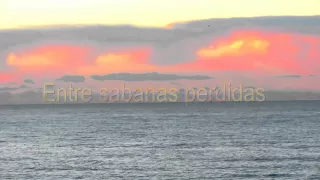 luciano pereyra ser letra 