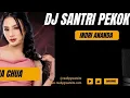 Download Lagu DJ ICHA CHUA - DJ SANTRI PEKOK REMIX SLOW BASS