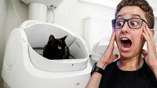 NÃO ACREDITO Que O Gato fez ISSO na CAIXA DE AREIA AUTOLIMPANTE