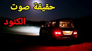 اذا سمعت هذا الصوت جهز سلا حك      دندنها