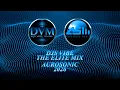 Djs Vibe - The Elite Mix 2026 (Aurosonic)