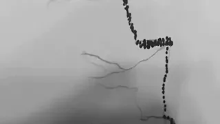 Dripping Technique الرسم بالتنقيط 