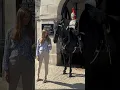 Download Lagu Woman and Horse fall in love #london #history #buckinghampalace #tourist #queens #kingsguard