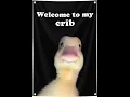 Welcome to My Crib Flag Review Fun Dorm Man Cave Decor Tested