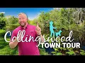 Best Things To Do In Collingswood NJ Jersey Town Tours