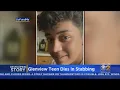 Glenview Teen Dies In Stabbing