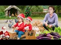 Harvest eggplant and vegetables to sell at the market, catching giant fish to cook for the children