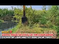 Lagu NGERI‼️SARANG PREDATOR DIKALI HITAM DIHANCURKAN EXCAVATOR LIBAS HABITAT DEMI JALUR TRACK
