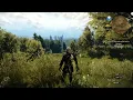 The Witcher 3 - Blood and Wine | Blood Run | 10 Hour