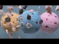 Lagu Ibaco Icecream Shakes
