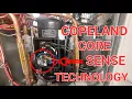 CORE SENSE COPELAND COMPRESSORS