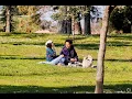 Living in Turlock CA The Ultimate Local Guide Homes com
