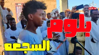 جديد ايمن محمد ابراهيم ودنابلس يا بلوم السجعه حفلات 2023 