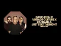 Just Stay The Night (Extended Mix) - David Penn, Raphaella & Vintage Culture