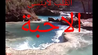 القلب لا ينسى الاحبة دندنها