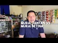Cara Membedakan Murai Jantan dan Murai Betina