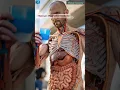 Download Lagu Human Digestive System | Bio AI Art | 02