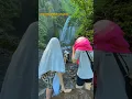 Download Lagu air terjun tiu kelep senaru lombok utara #airterjun #lombok #wisataalam #travel #indonesia