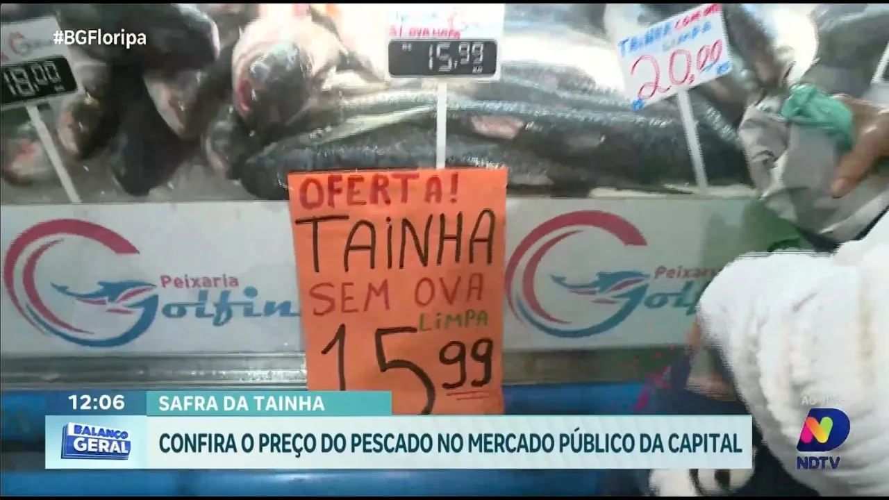 Safra da tainha: confira os preços do pescado no Mercado Público de Florianópolis