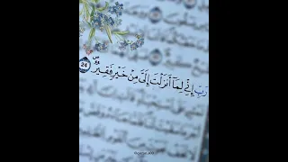 من سورة القصص رب إني ل ما أنزلت إلي من خير فقير للشيخ عبد الباسط عبد الصمد 