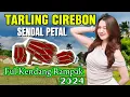 Download Lagu TARLING CIREBON SENDAL PETAL FUL KENDANG RAMPAK || DANGDUT TARLING PANTURA SENDAL PETAL VIRAL 2024