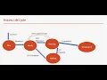 Program and Process - Operating System