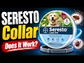 Seresto Flea Tick Collar - The Truth About Its Effectiveness