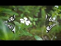 Lydia Natalia - Cinta Tak Harus Bersatu (Official Lyric Video)