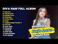 Download Lagu Diva Hani Ah Ah Full Album - Bojo Loro - Selendang Biru  - Iming Iming | Dangdut Tanpa Iklan