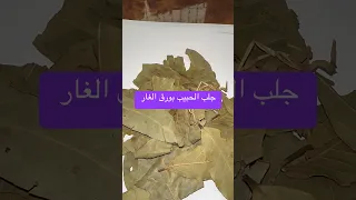 جلب الحبيب وتهييج الحبيب اخضاع الحبيب 