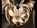 The Flower Duet (Lakmé)
