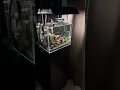Download Lagu 30W Nano Tank. #aquascape