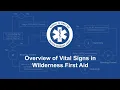 Vital Signs Mastery The Wilderness First Aid Guide to Saving Lives