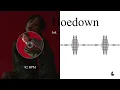 Hoedown - Ink / Hoedown Linedance / Music #012