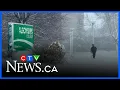 Hydro failures Punishing winds knock out power across Ottawa