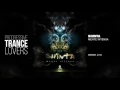 Download Lagu Shinta - The Scientist